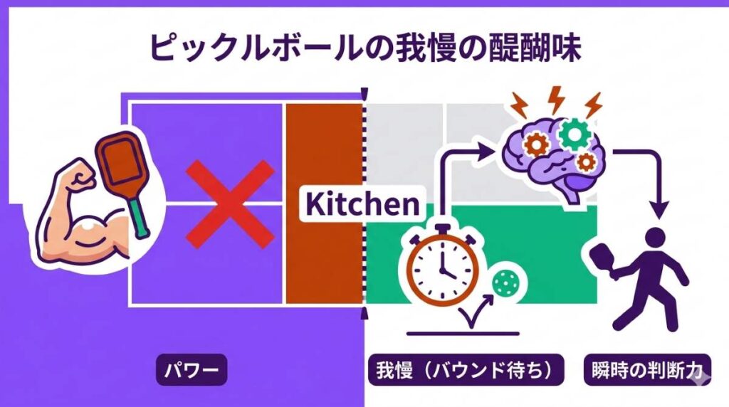 ピックルボールのキッチンルールがもたらす戦略的な奥深さを図解。力任せのショットを防ぎ、バウンドを待つ我慢と瞬時の判断力が求められる競技の魅力が分かる概念図。